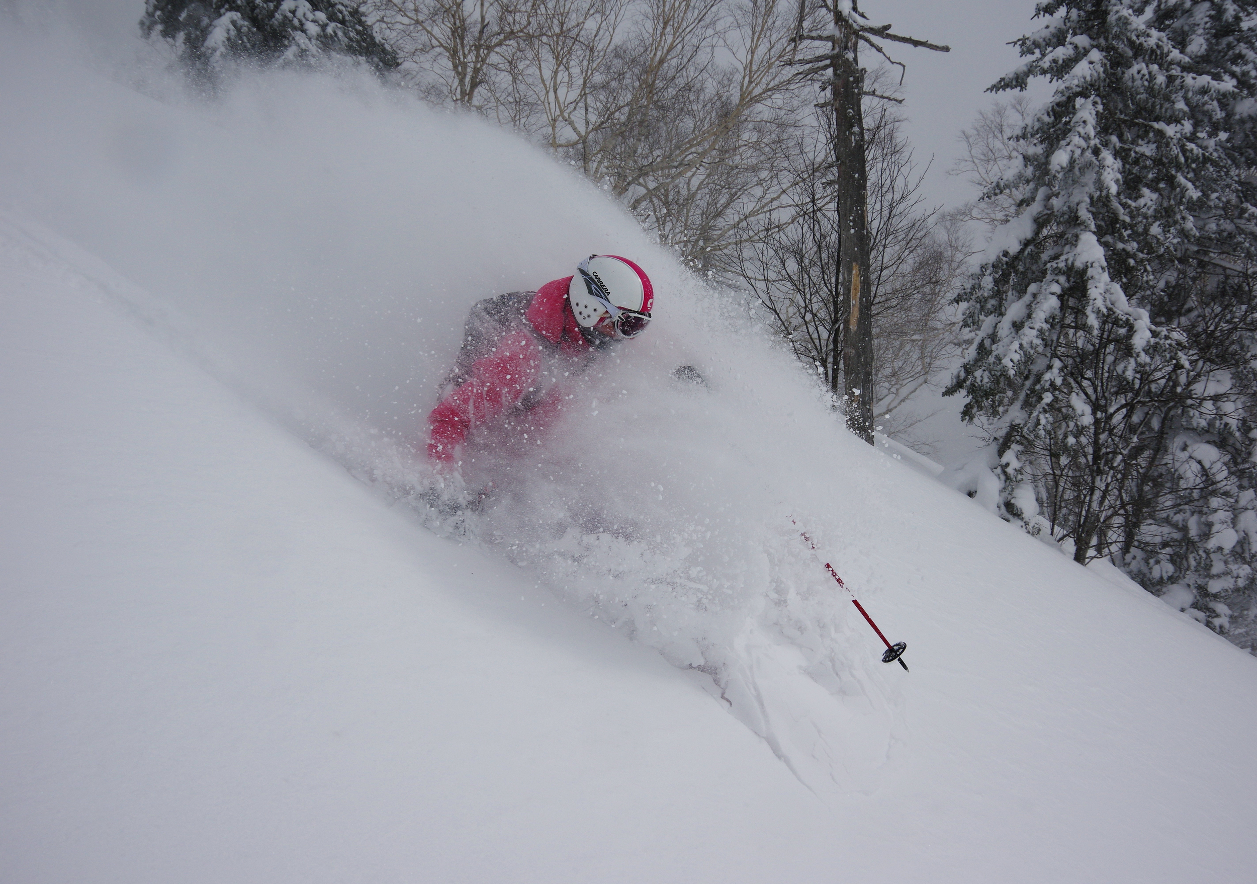 Hard not to love some powder in the face!