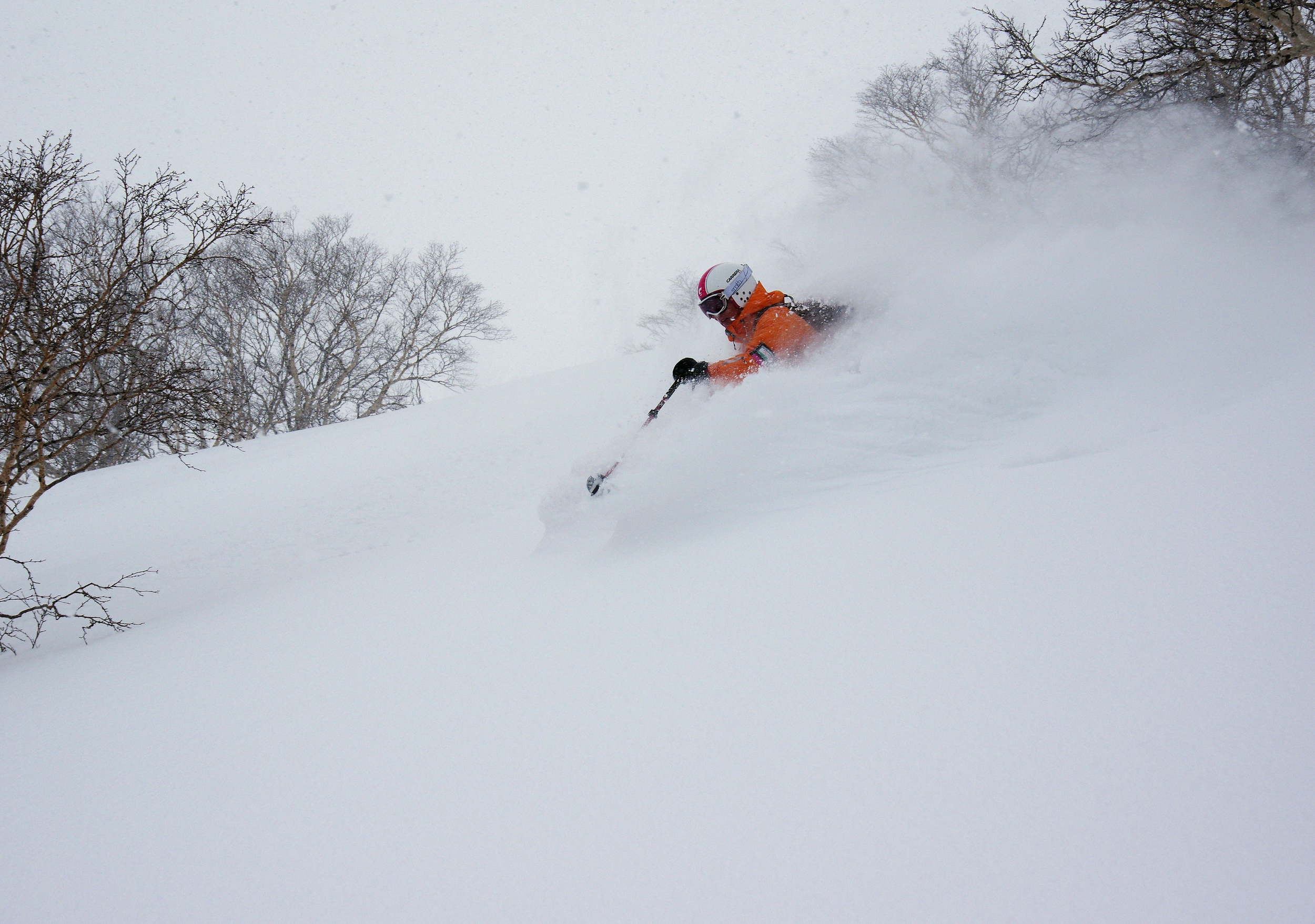 Powder feast at Kurodake.