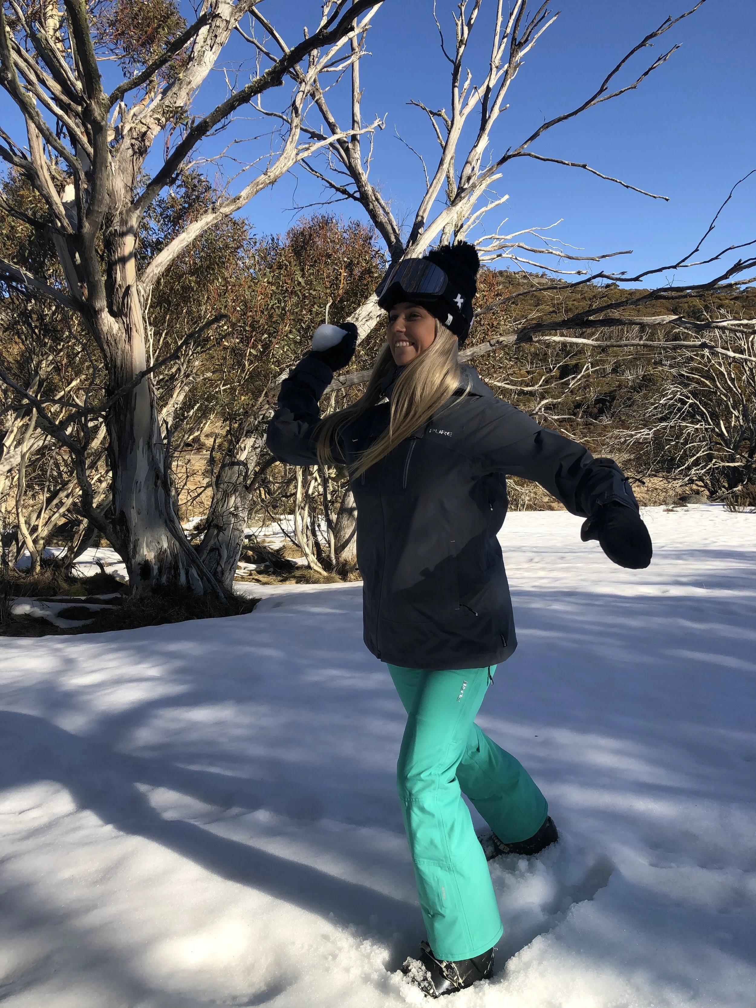 monte rosa_ebony2.JPG