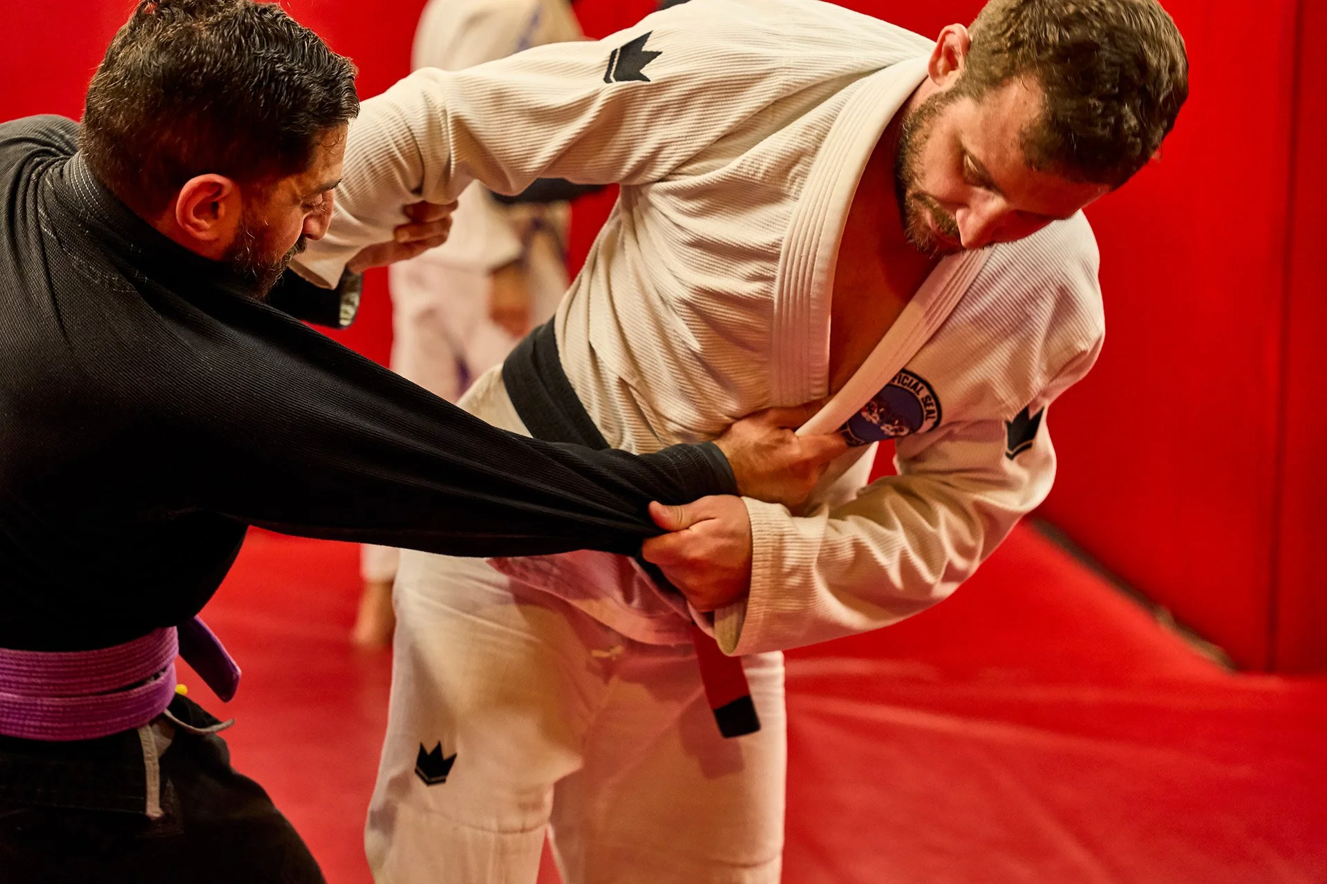 JUDO — All Levels