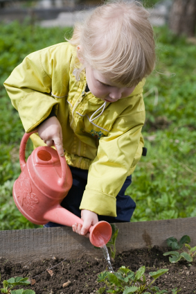 how to build a community garden or host a planting party