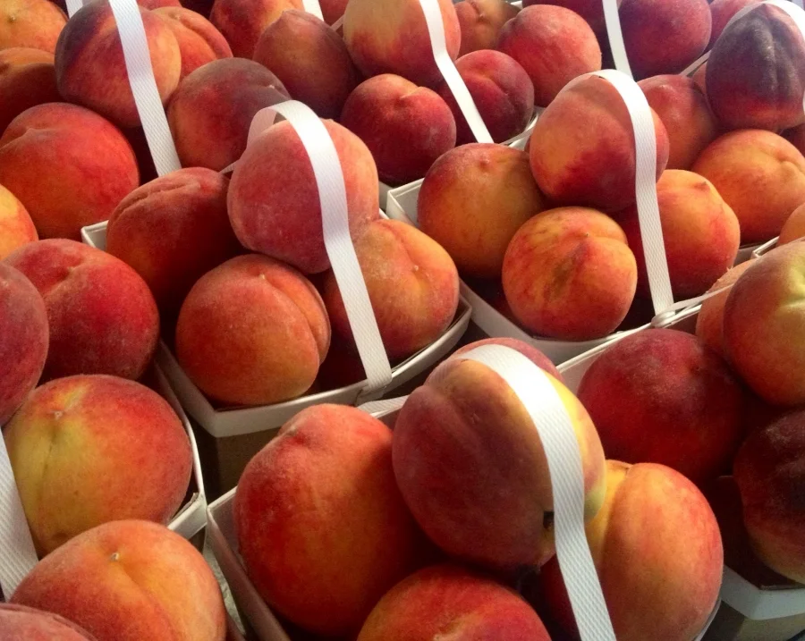 fresh picked Chilton County peaches