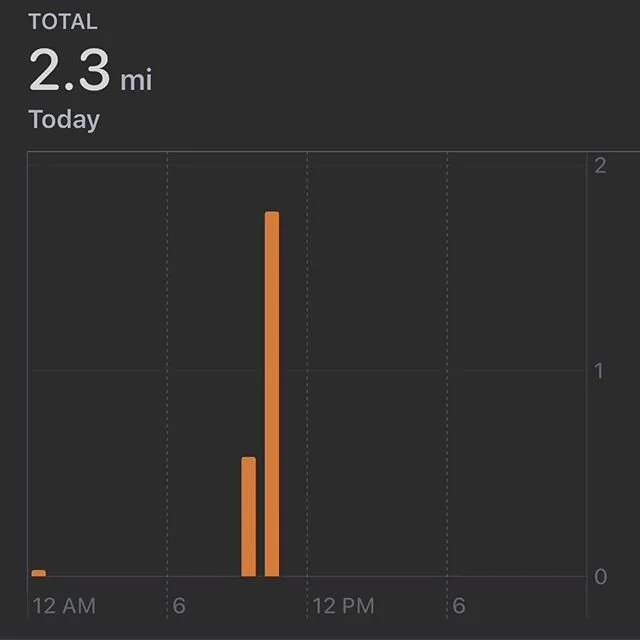 Finished our 2.23 mile (accidentally did a little more) for Ahmaud. #irunwithmaud #stopkillingus #blacklivesmatter