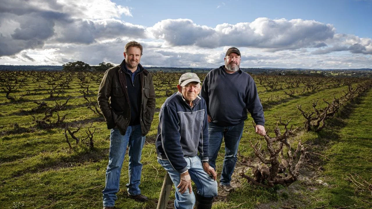 High Sands Grenache vineyard with Yangarra crew - (c) Advertiser Press.