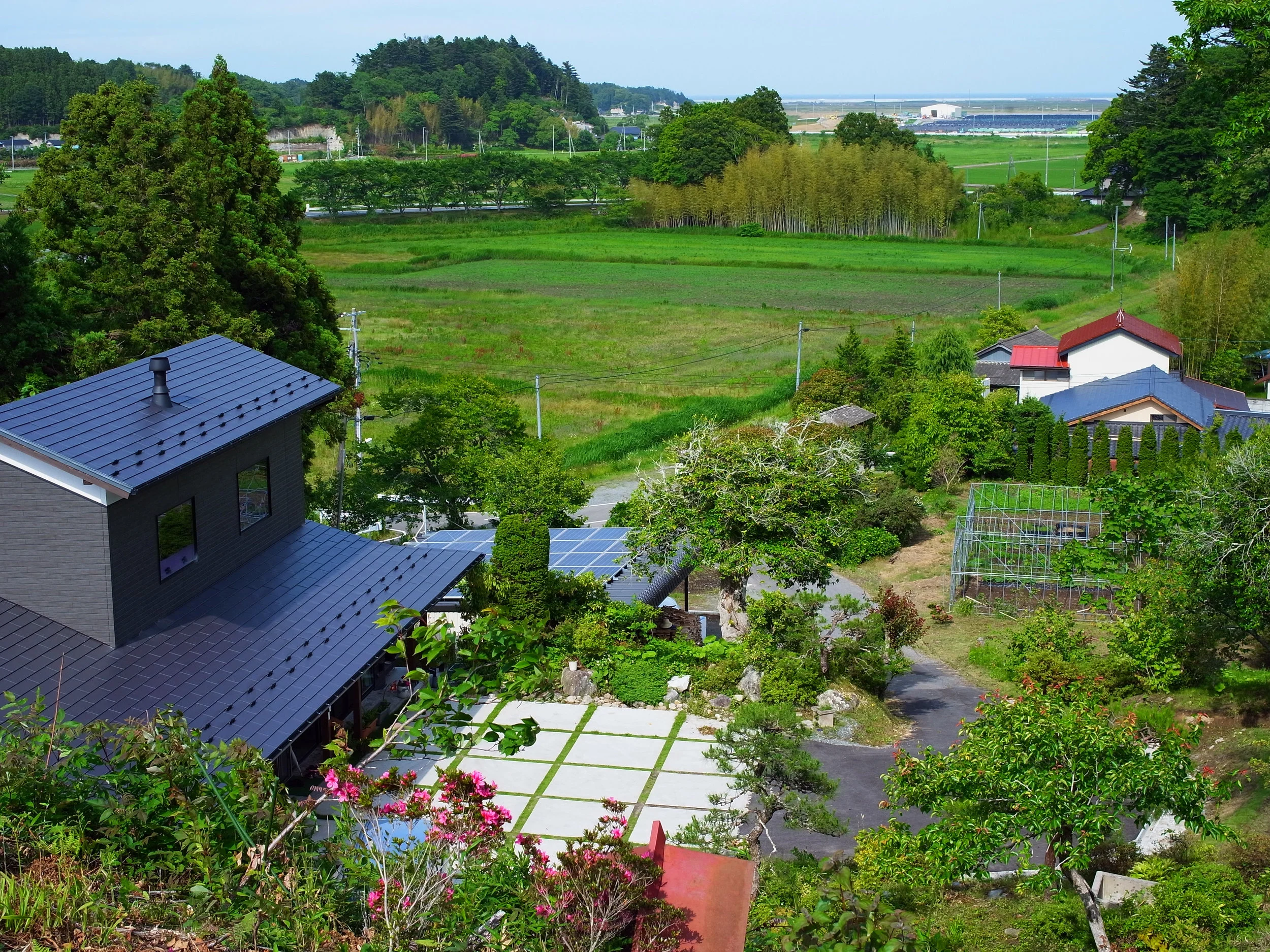 suzuki_house.jpg