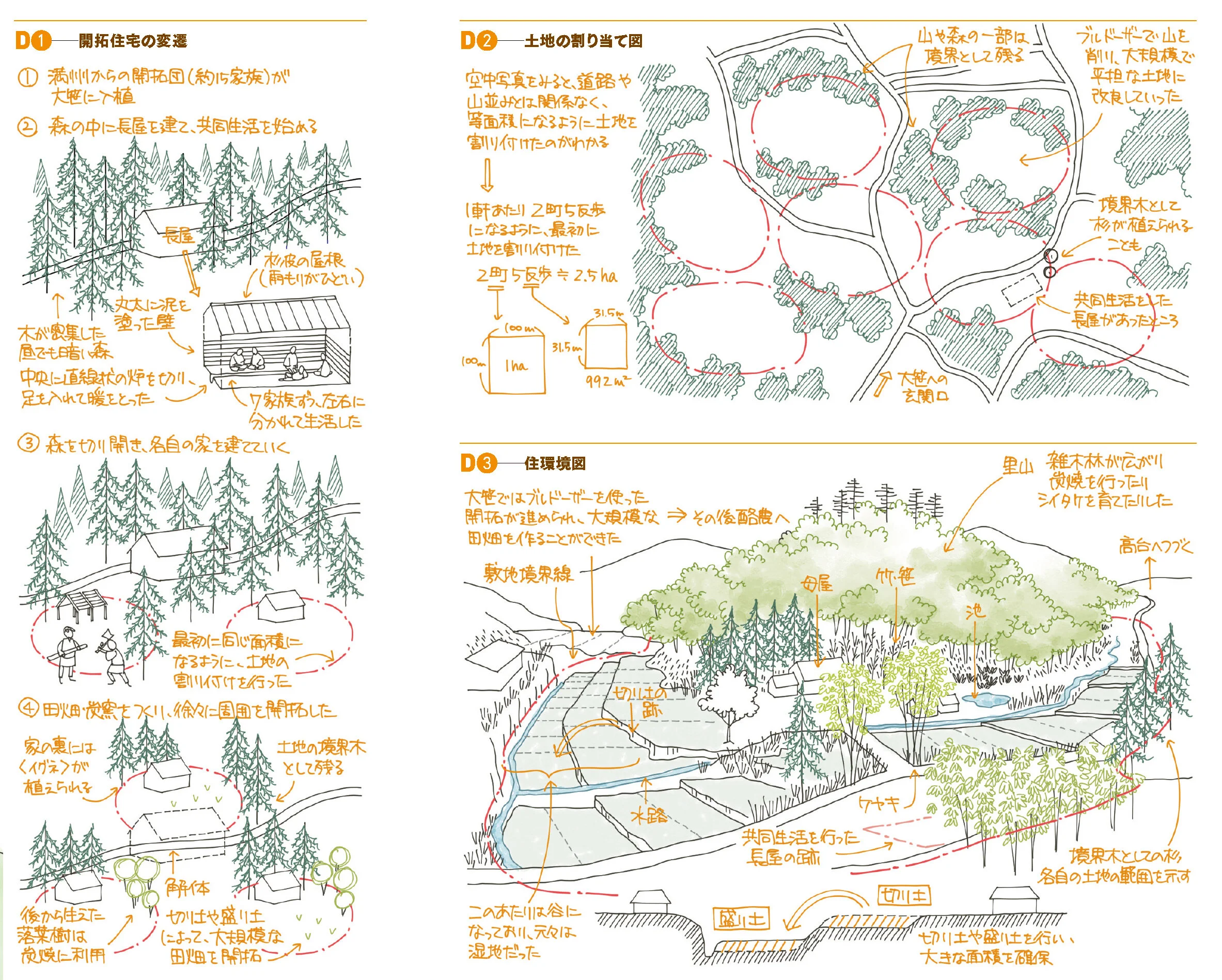 08_FinalDrawing_EcologicalWorld_Katsurao(FA04).jpg