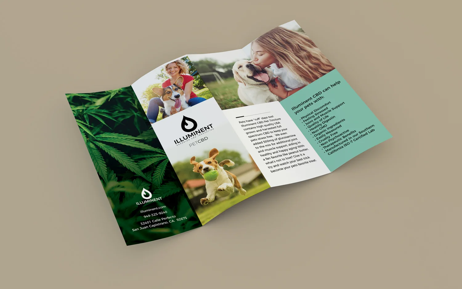 brochure