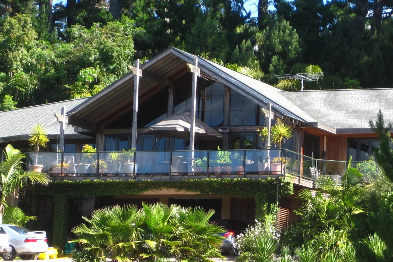 The cedar lodge and its balcony deck seen from the drive, among palms and native bush