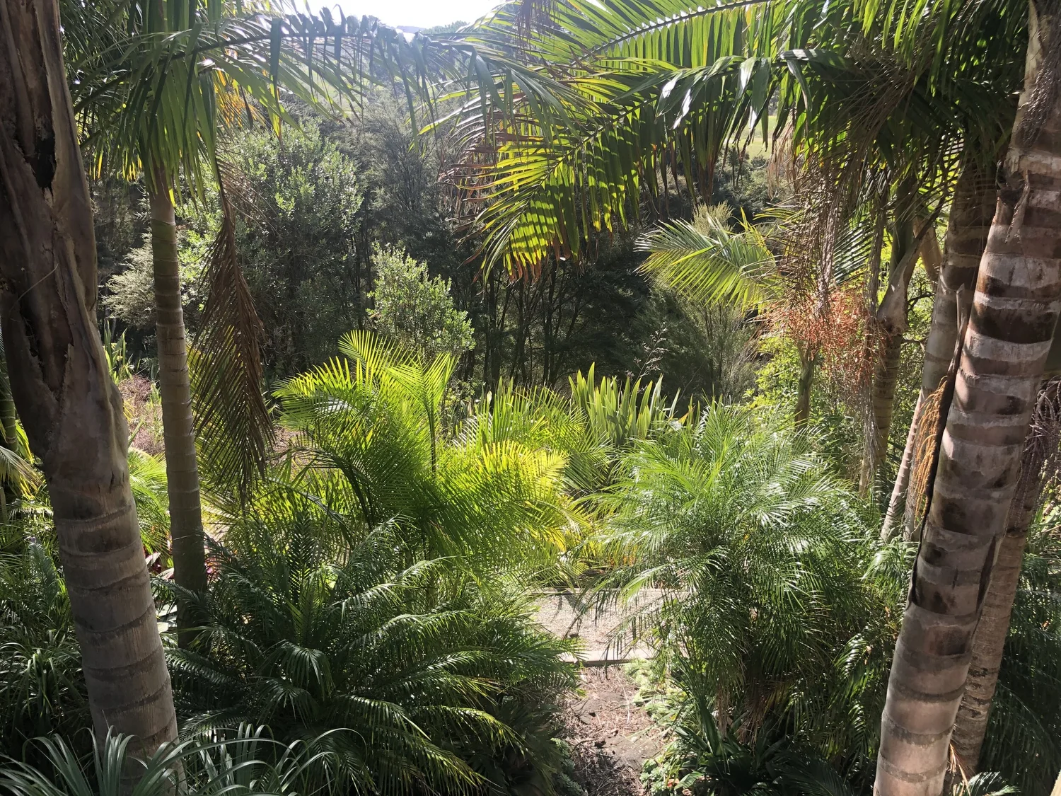 Gardens outside Cosy Garden Hideaway Two