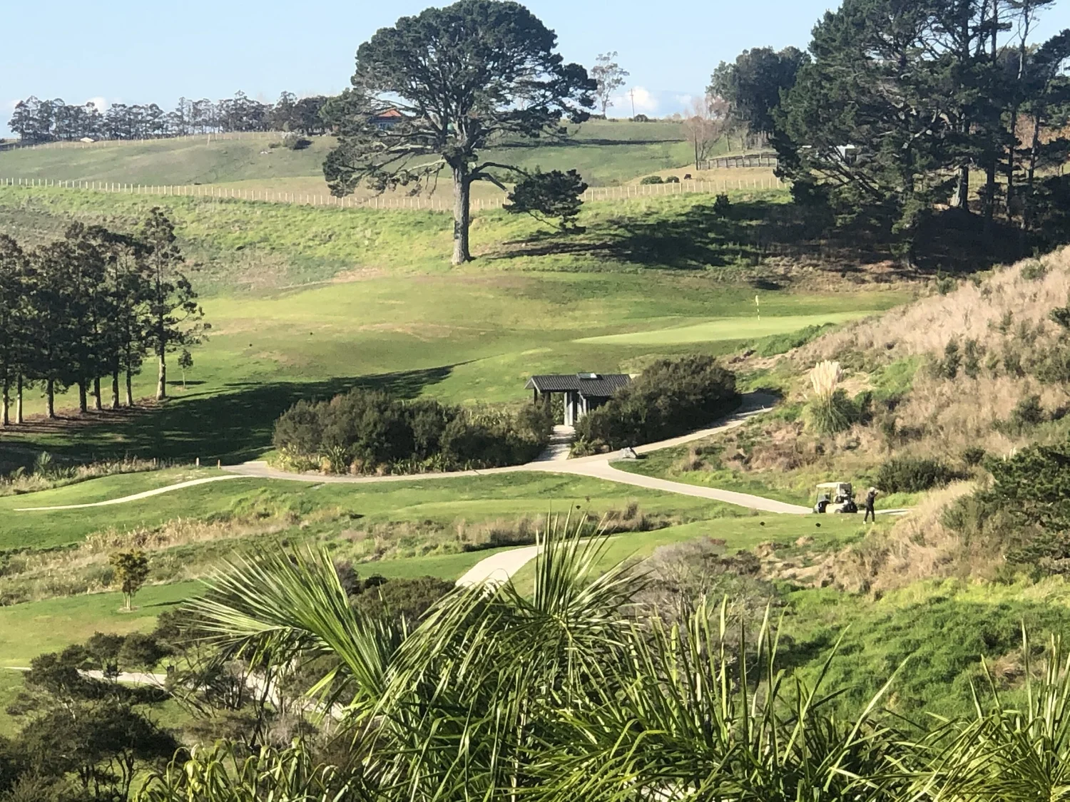 Wainui Golf Course fairways and native bush below the lodge