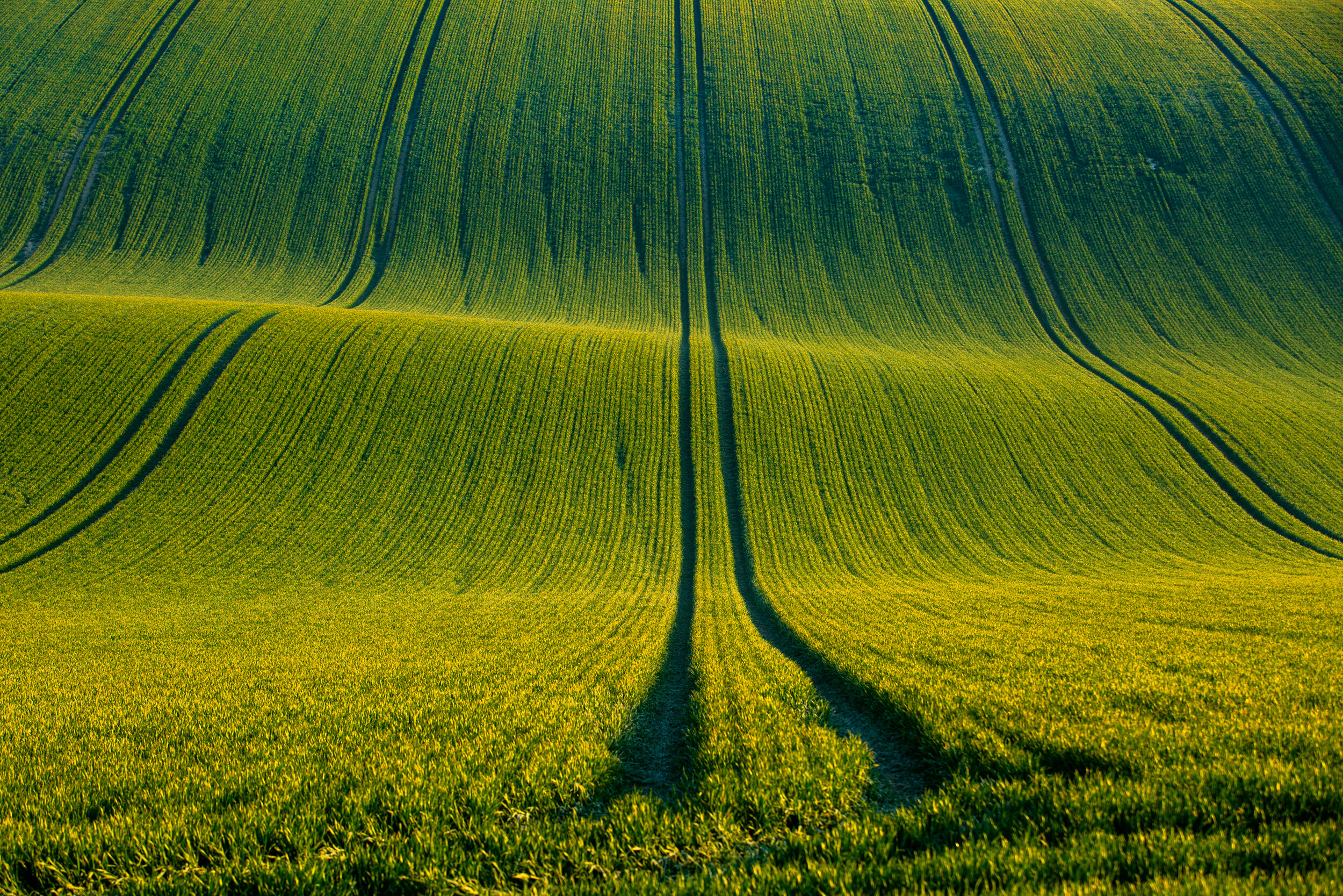 Sussex Landscape photography 