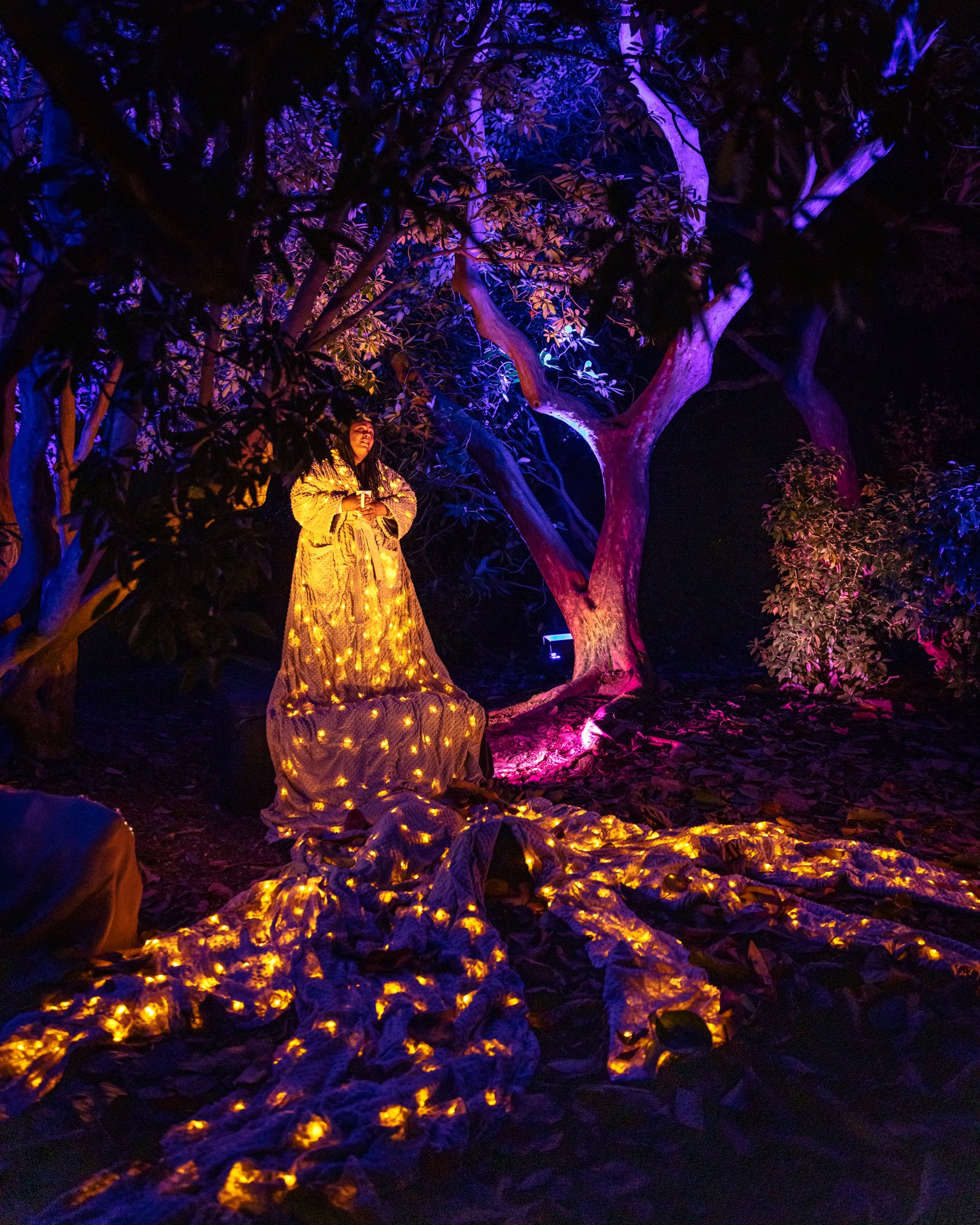 Illuminated garden photographer