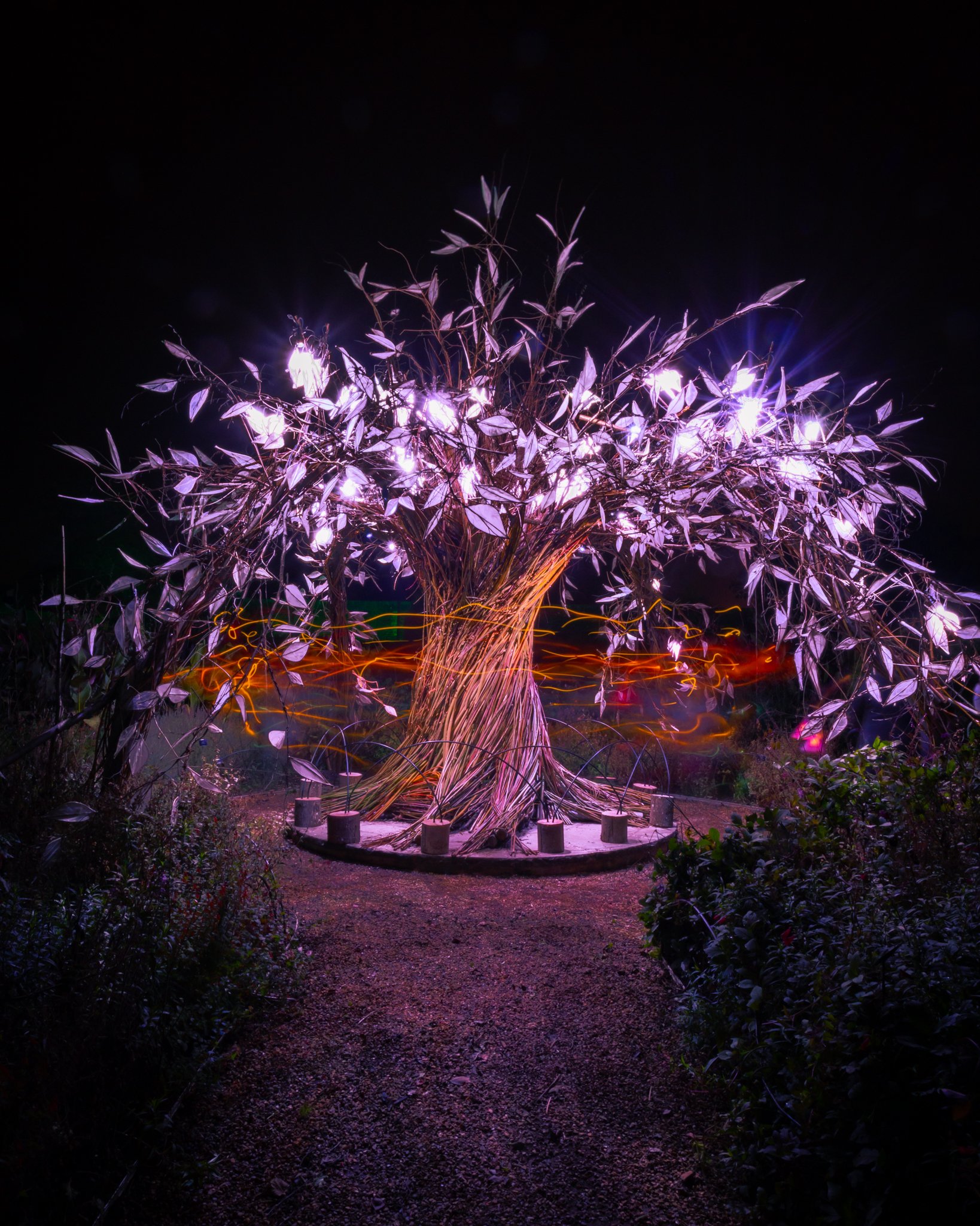 Glow Wild Tree 