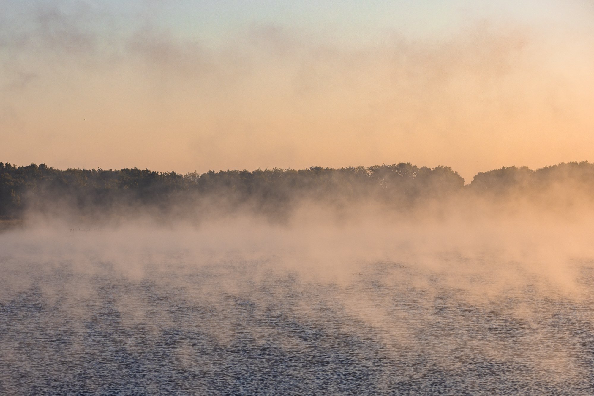 Arlighton Reservoir mist