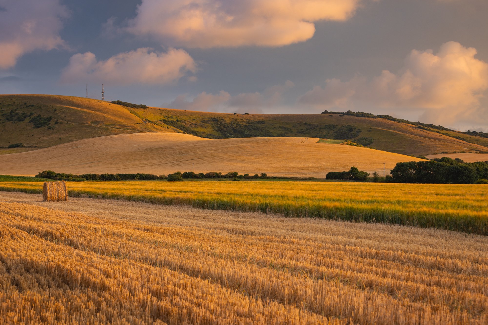 South Downs - Firle 