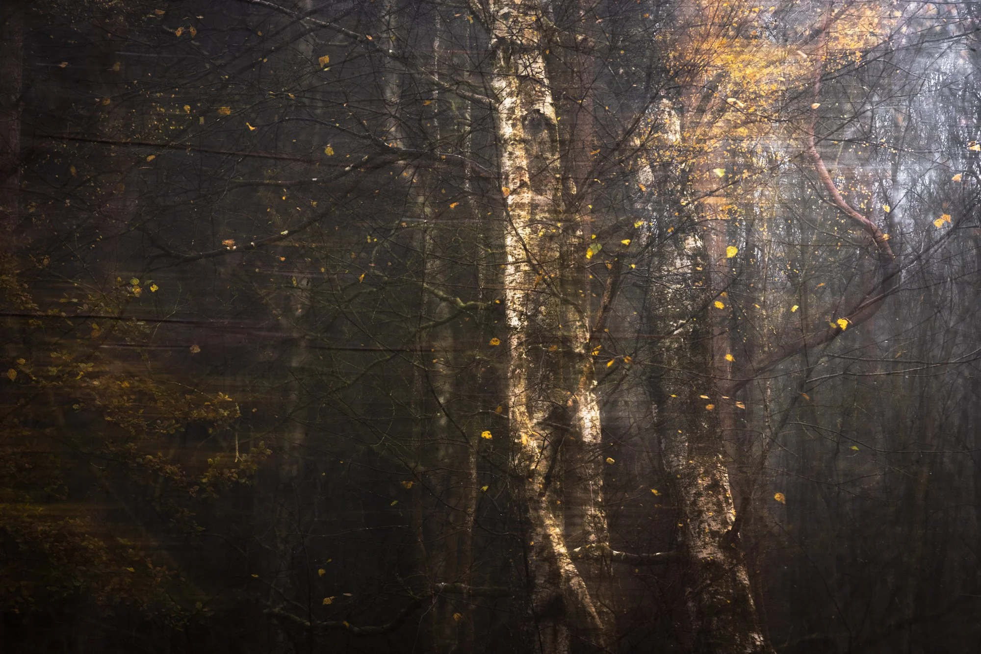 James Ratchford - Sussex Landscape and Event photographer