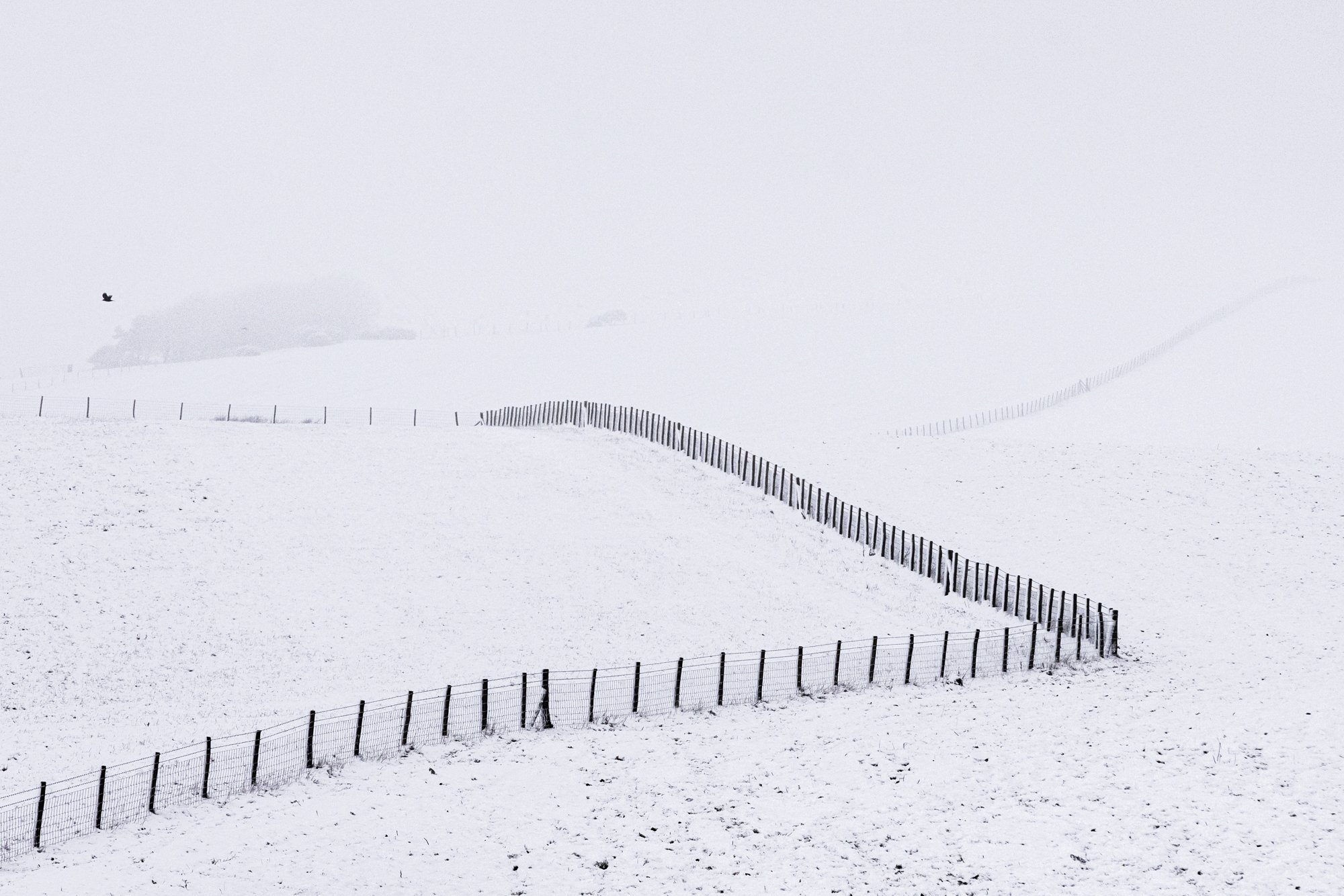 South Downs Snow