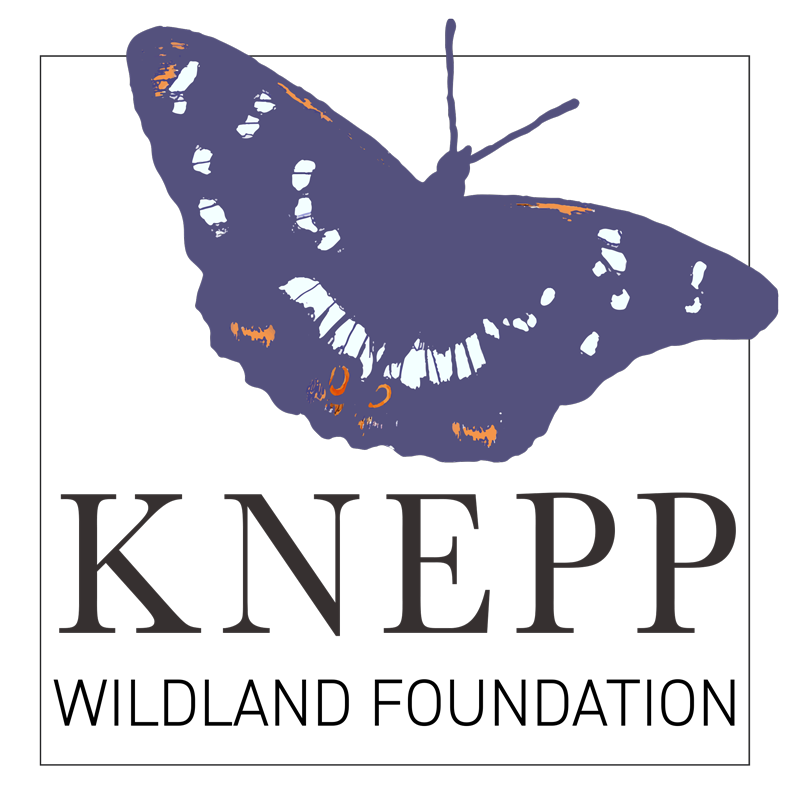 Knepp-Wildland-Foundation-web.png