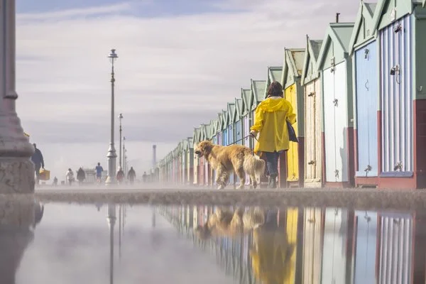 Brighton beach huts reflection photography