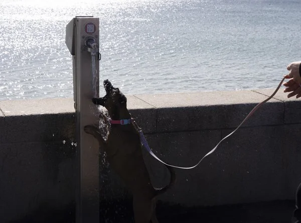 Brighton Beach candid detail photography