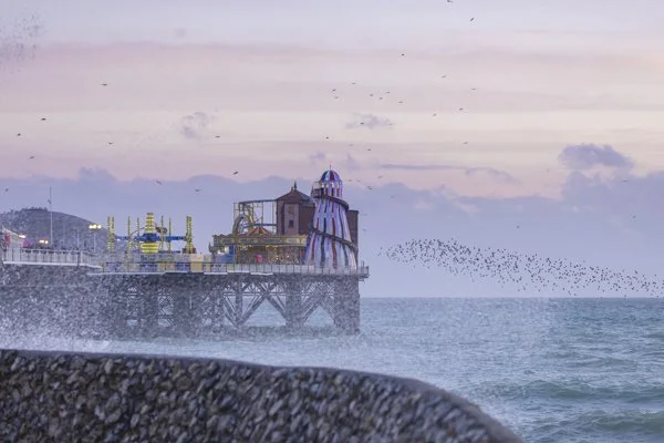 brighton-I360-18.Brighton Pier murmuration photography