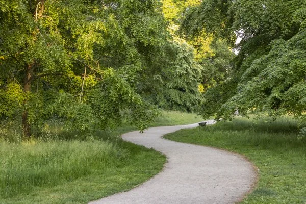 Stanmer Park woodland photography