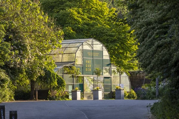 South Downs woodland photography at one garden 