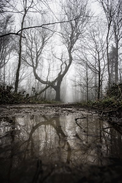 Stanmer Park winter landscape photography