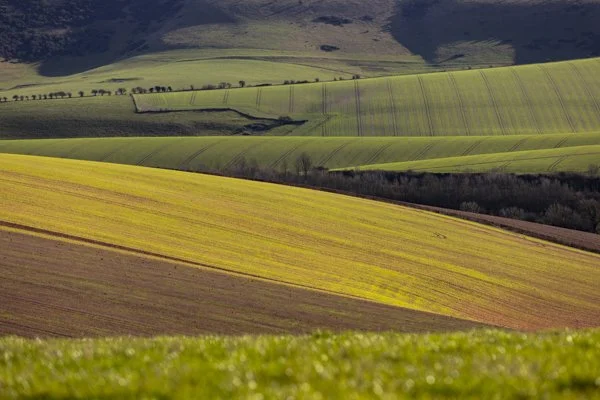 South Downs farmland landscape photography