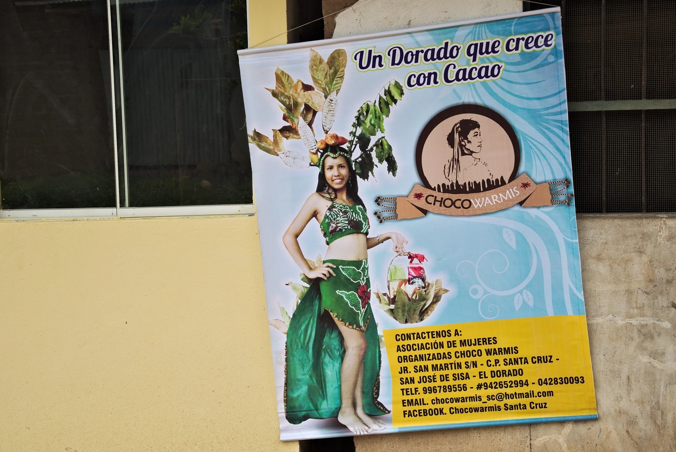 Fronts of two houses in a communidad nativa in the district of El Dorado, San Martín. The poster is of a government-funded project for local cocoa transformation. The left building has been constructed by the public housing project techo propio .