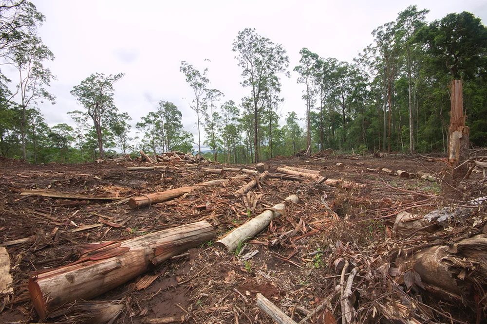 The Coloniality Of Nature An Approach To Latin American Political Ecology Alternautas