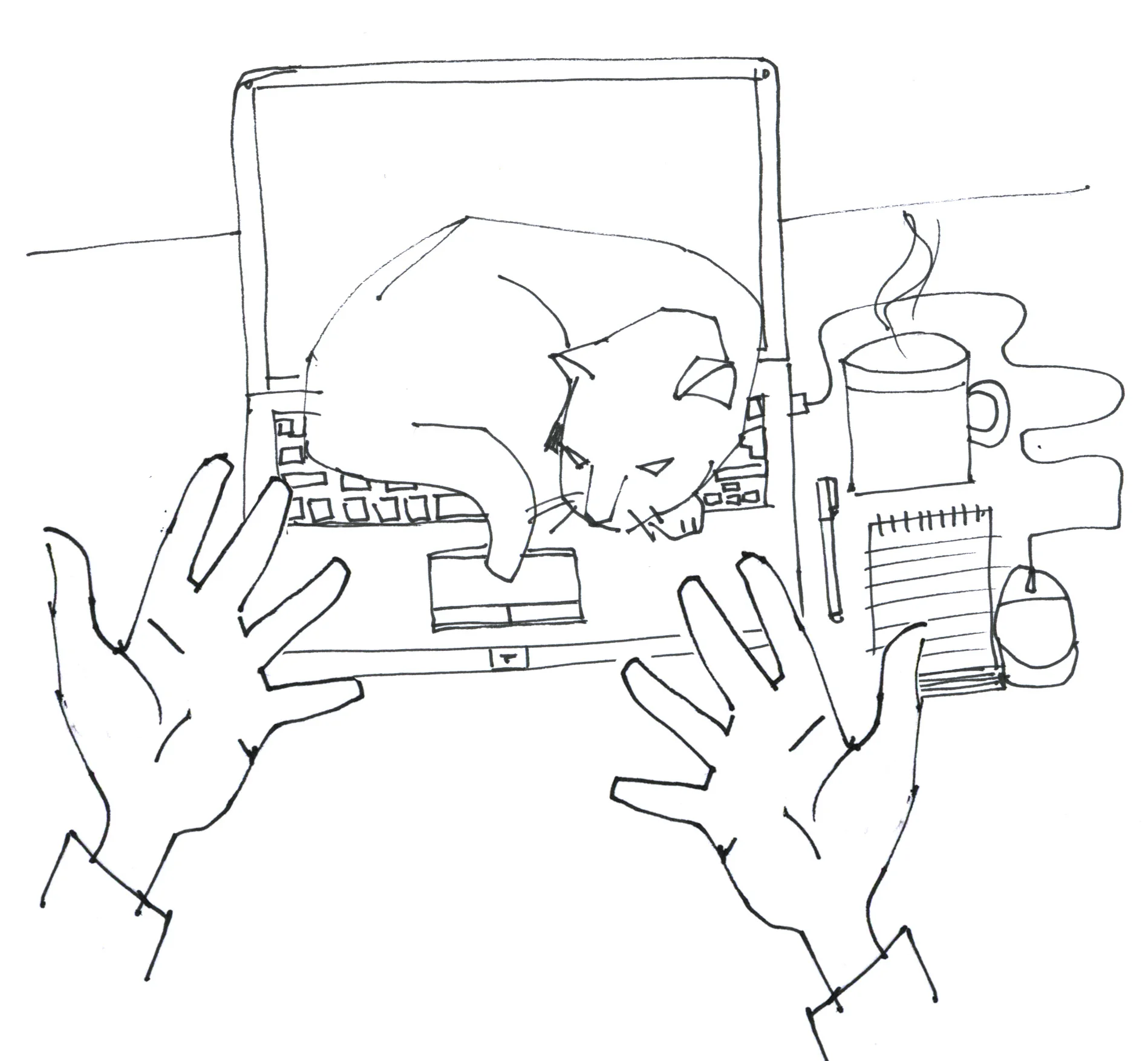 CAtLaptop.jpg
