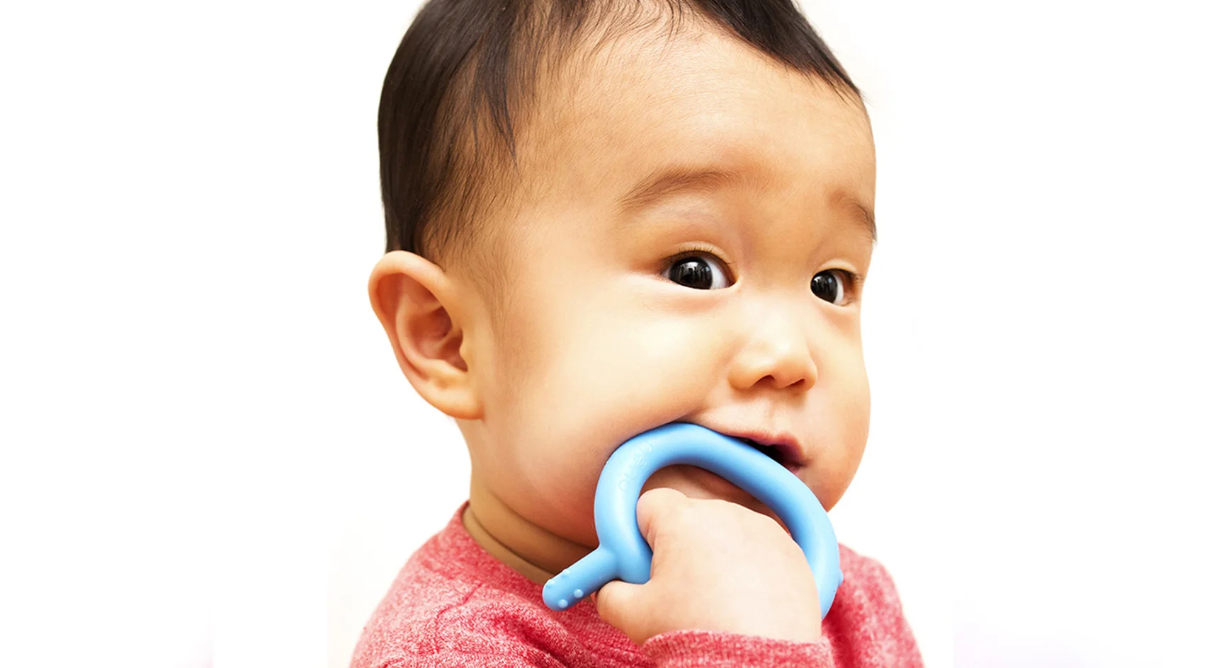 Nenu Teether bug made in USA safe.jpg
