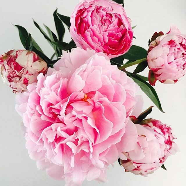 Sending love to all the moms today. Happy Mother&rsquo;s Day! ❤️⁣
⁣
#happymothersday #mothersday #mothersday2020 #stayhome #enjoythesun #motherhood #parenthood #peonies #flowers