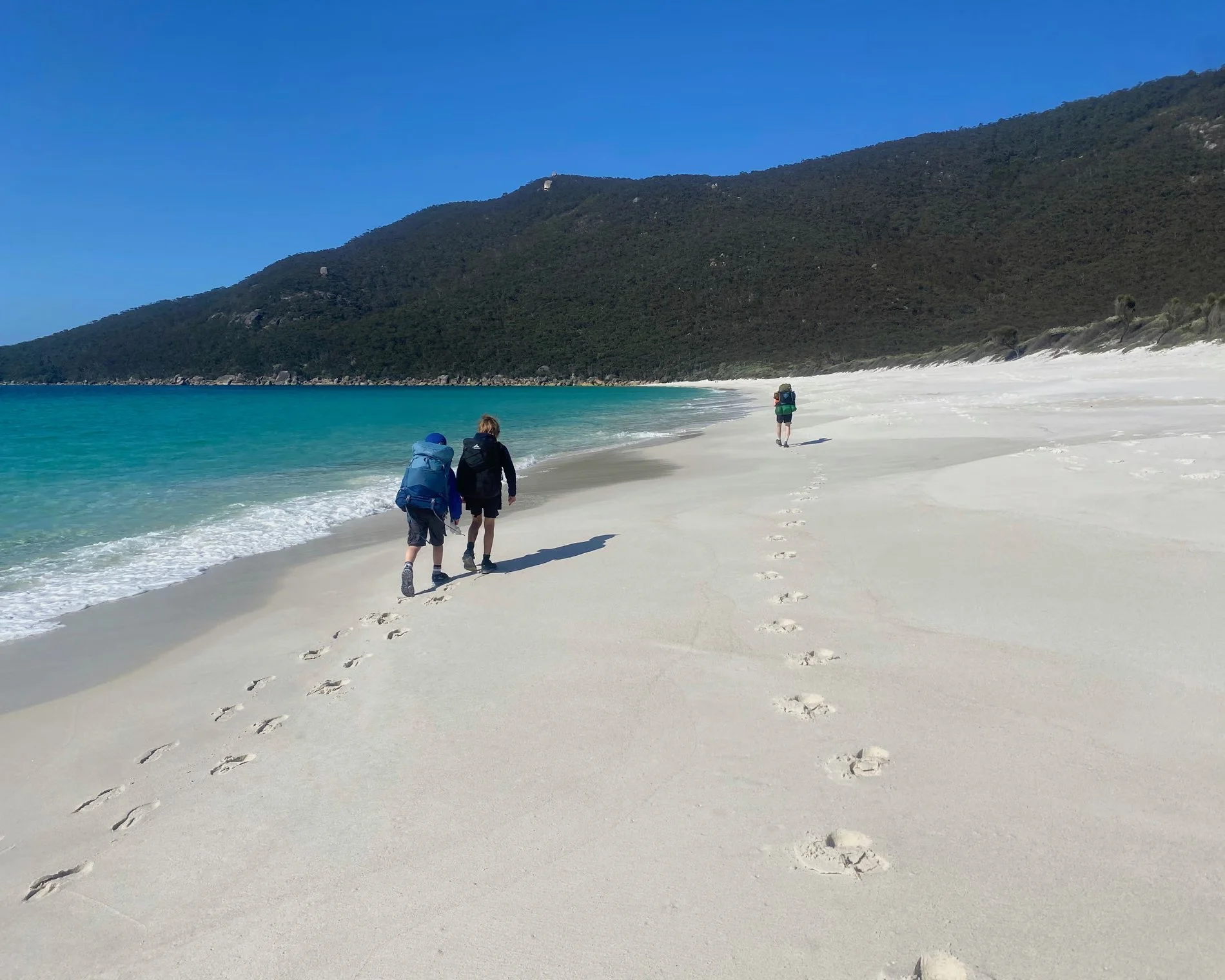 WOMBATS, WALLABIES AND WHALES - The Guardian