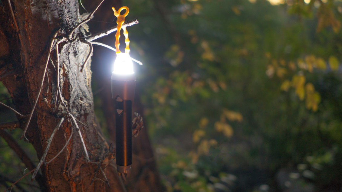 98af_sparkr-lantern-in-tree.jpg