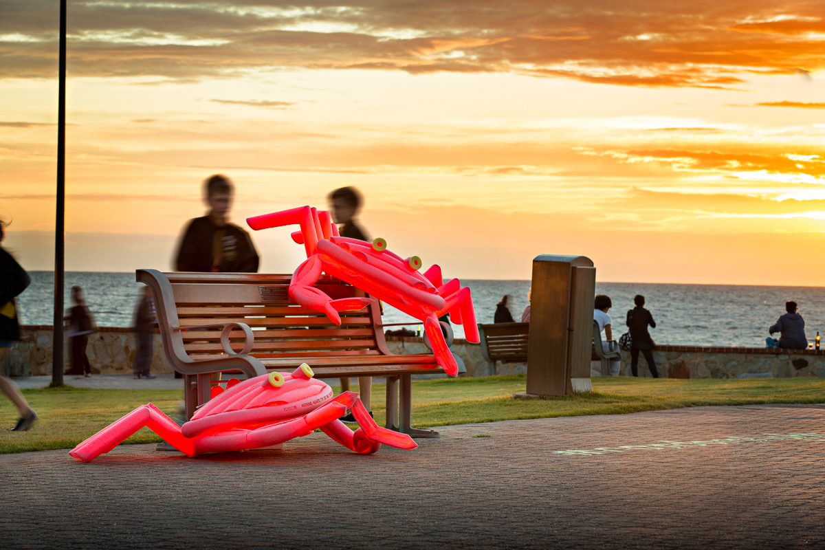 Random Art Glenelg November 2015-1.jpg
