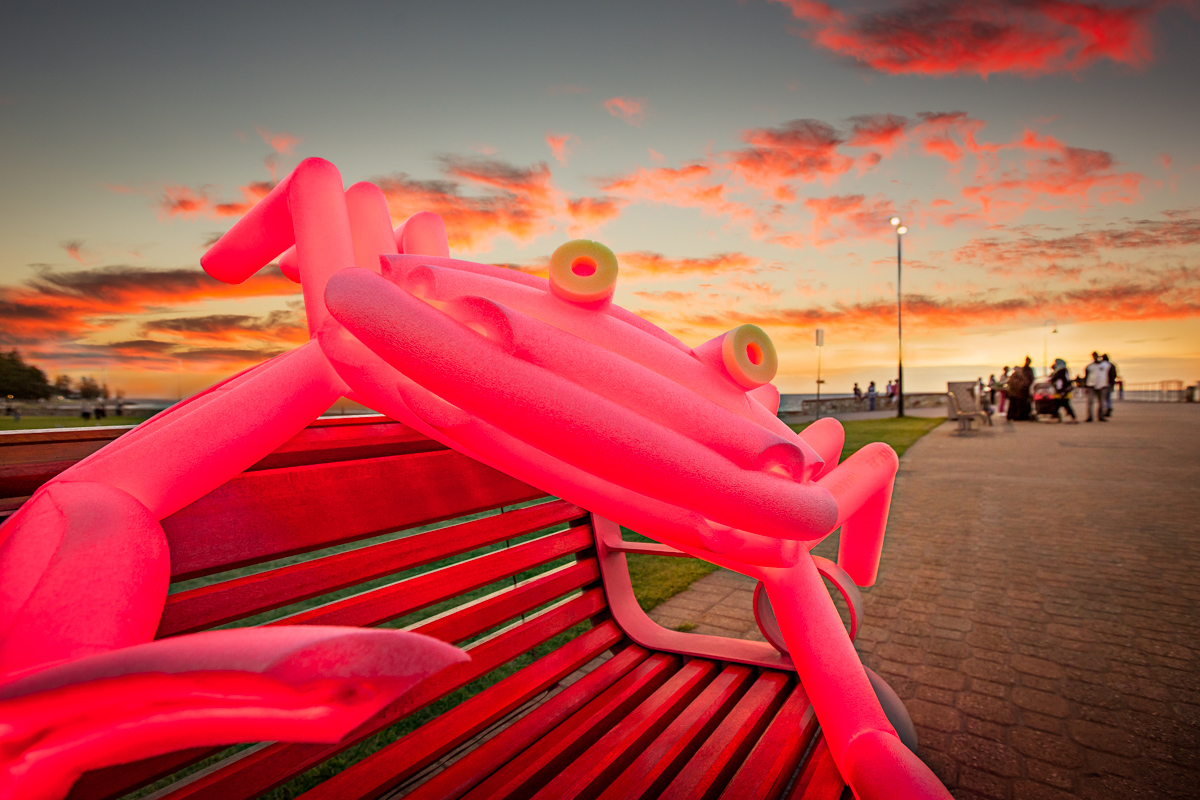 Random Art Glenelg November 2015-4.jpg