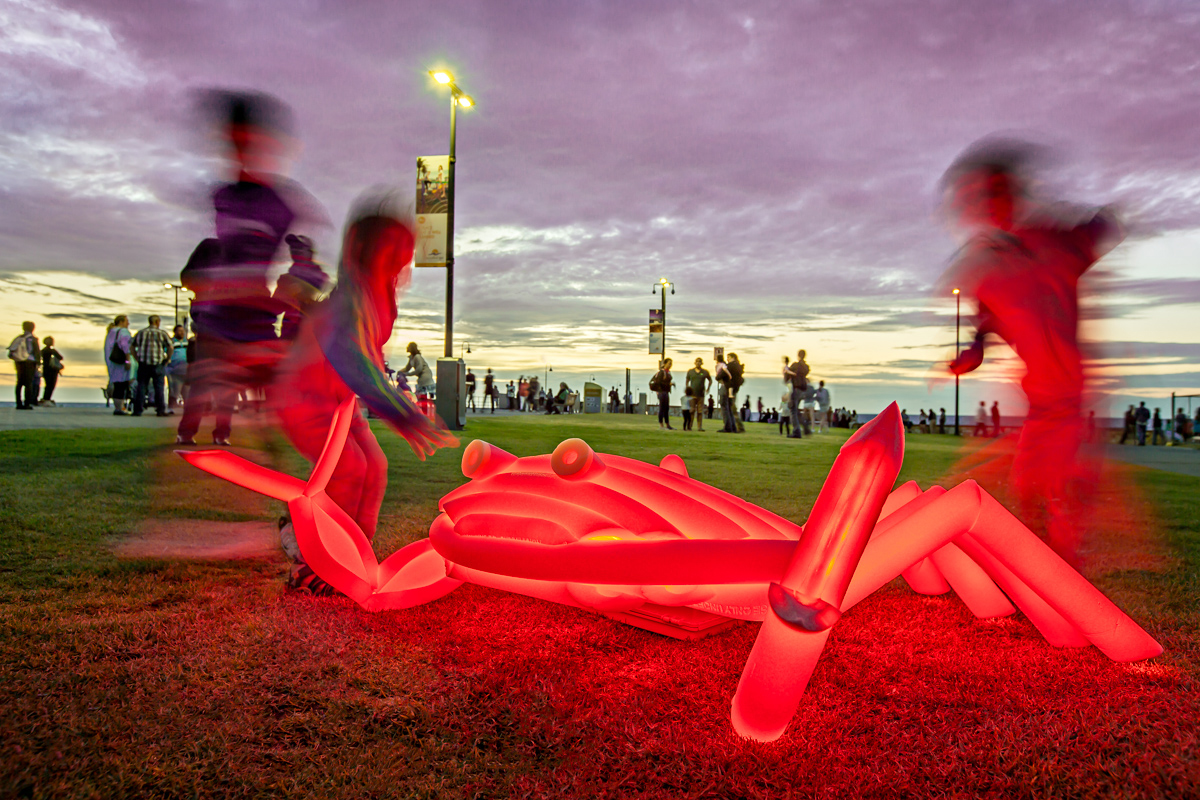 Random Art Glenelg November 2015-5.jpg