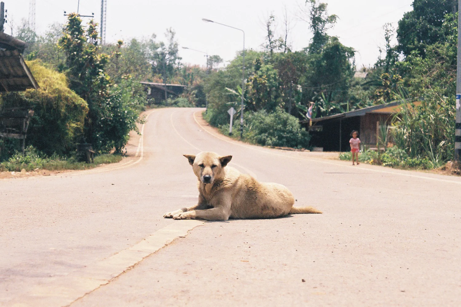 Road 1095 - Thailand - 2016