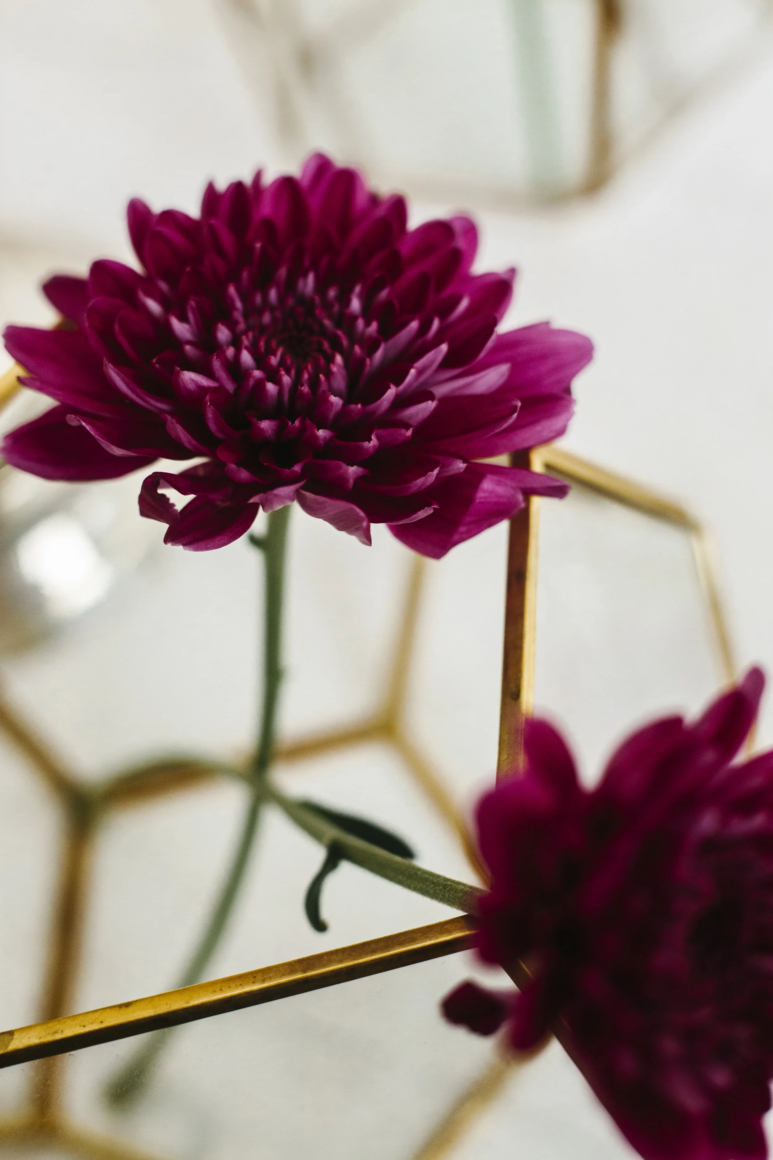 lucyJustinStyled_0121.jpg