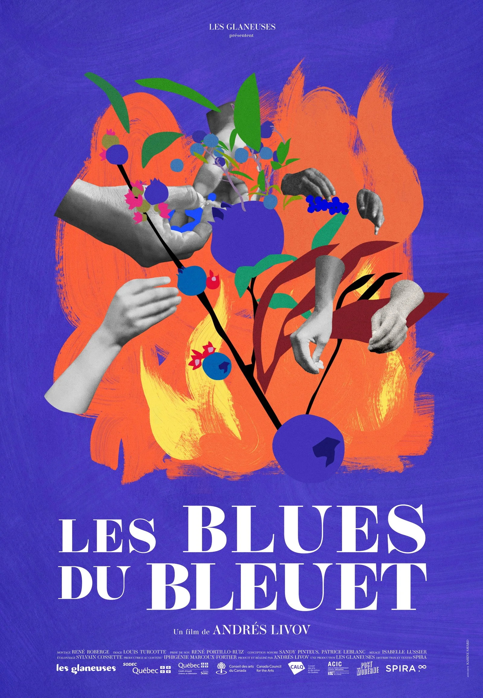 BLUES-DU-BLEUET_affiche_FR.jpg
