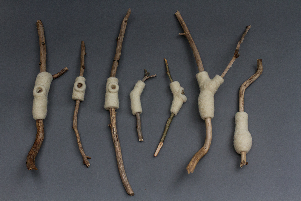 Untitled Taxonomy