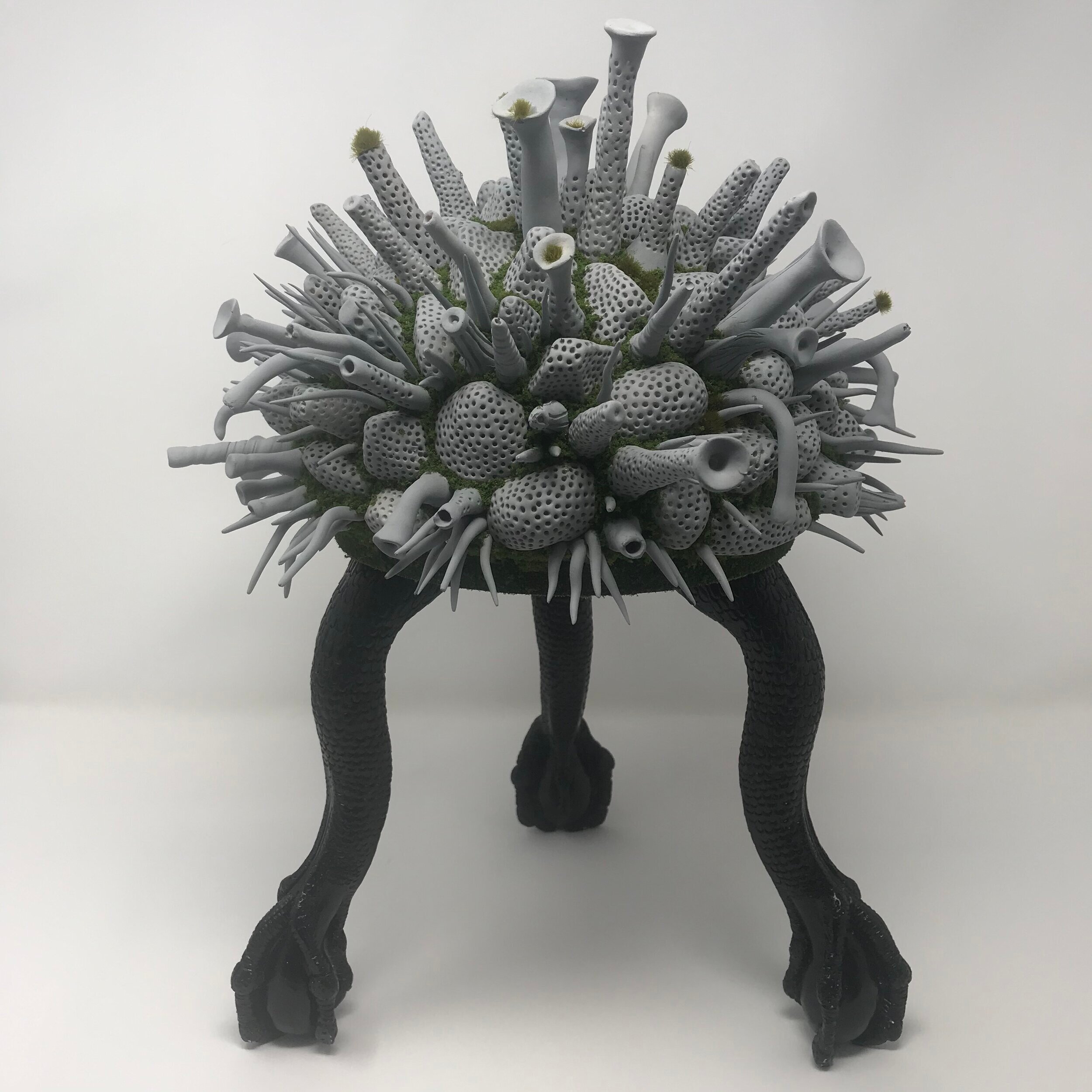 Tuberous Hassock #1