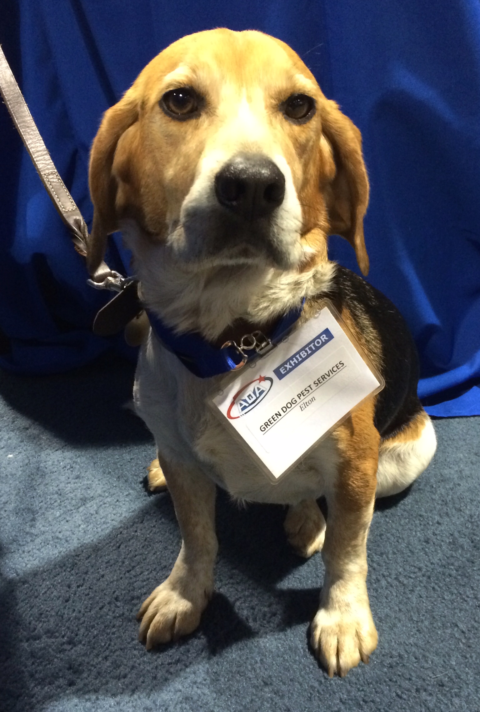 Elton, the coolest Exhibitor at the show.