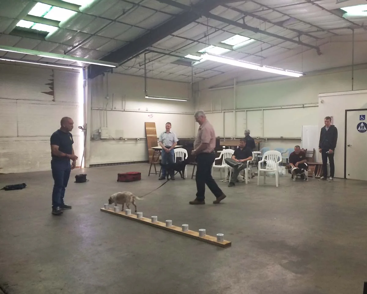 WDDO certified Master Trainer, David Latimer (left) working with a certified WDDO team during day one of the clinic.