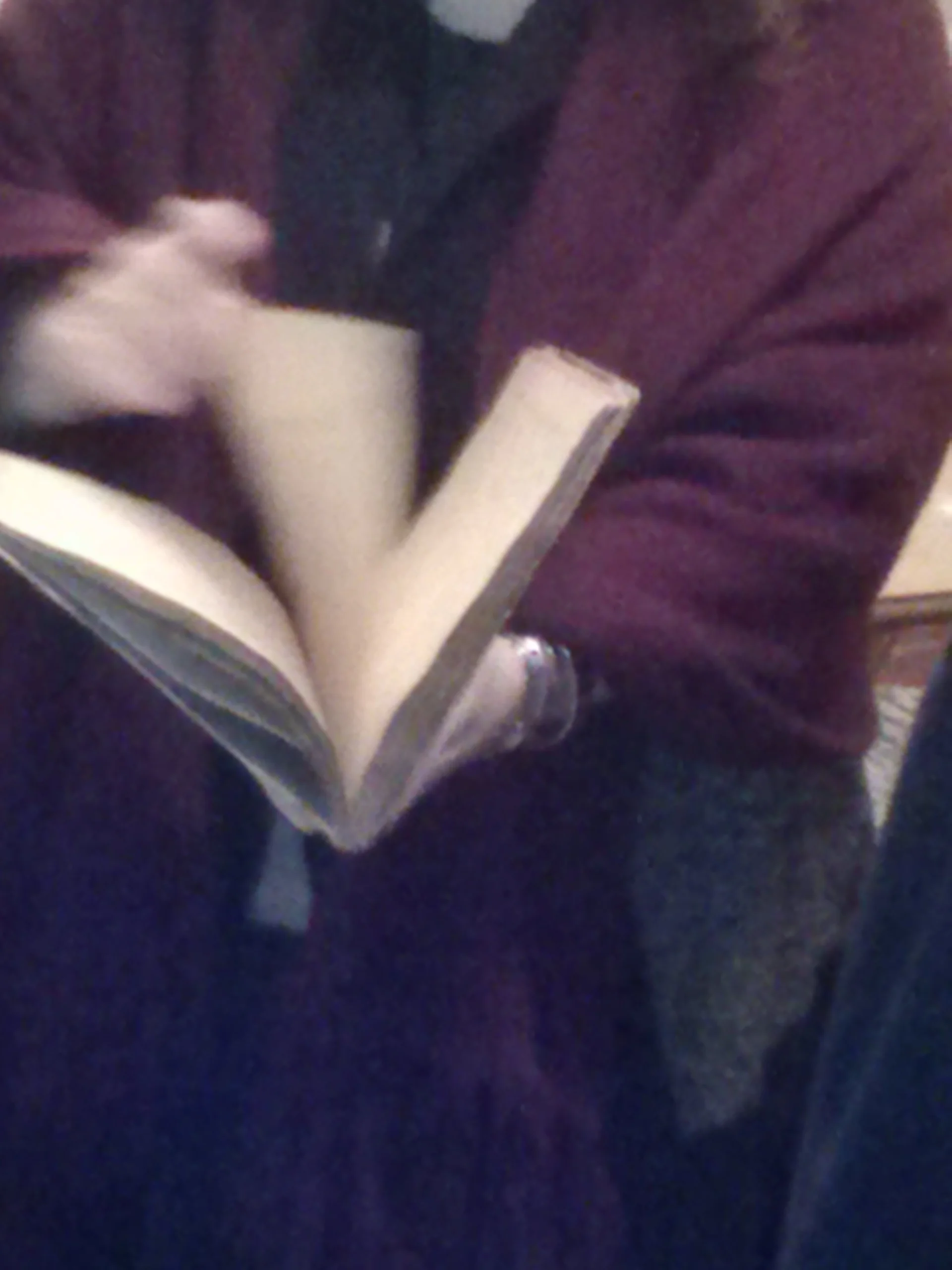 Journal and Poetry book returns to the Museum