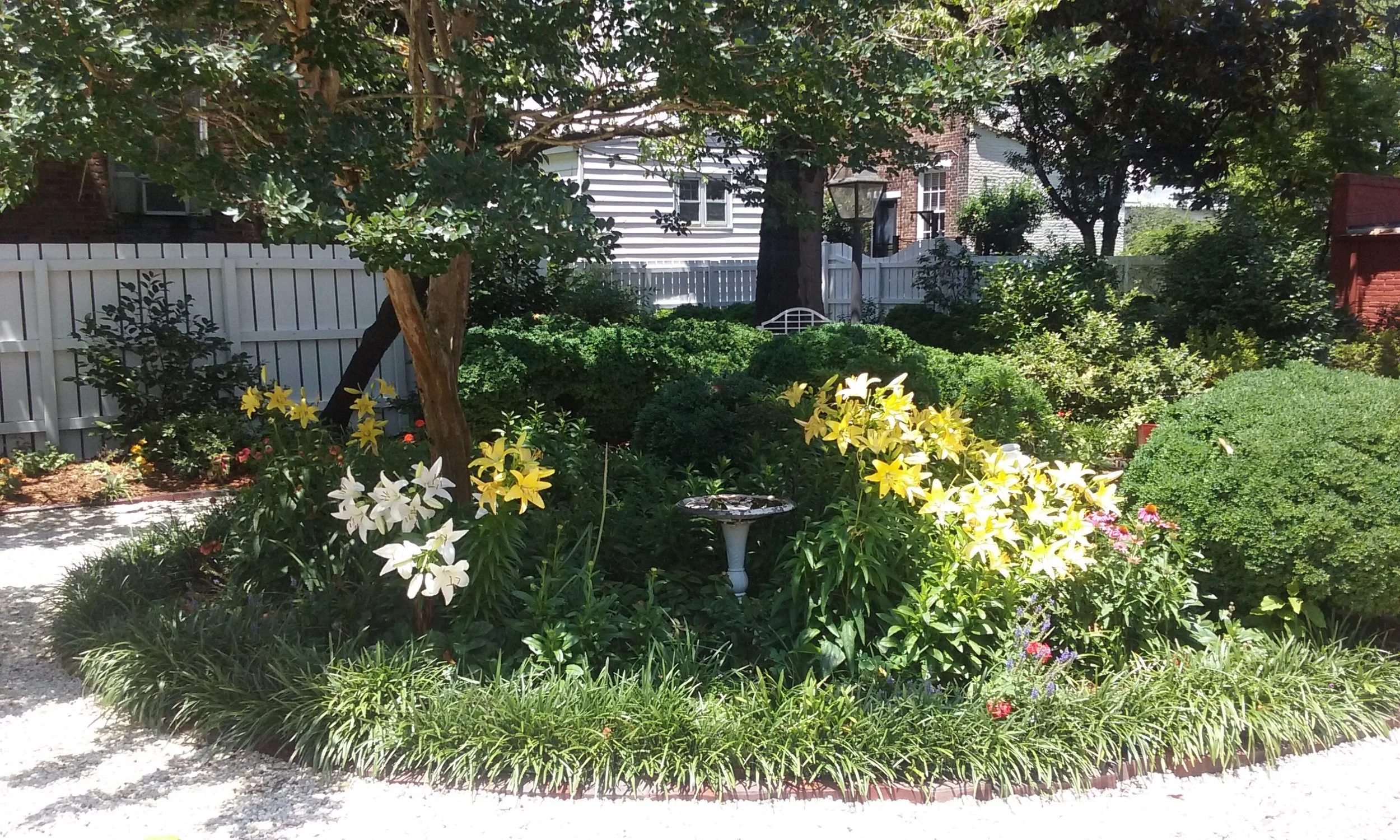 flowers3.jpg