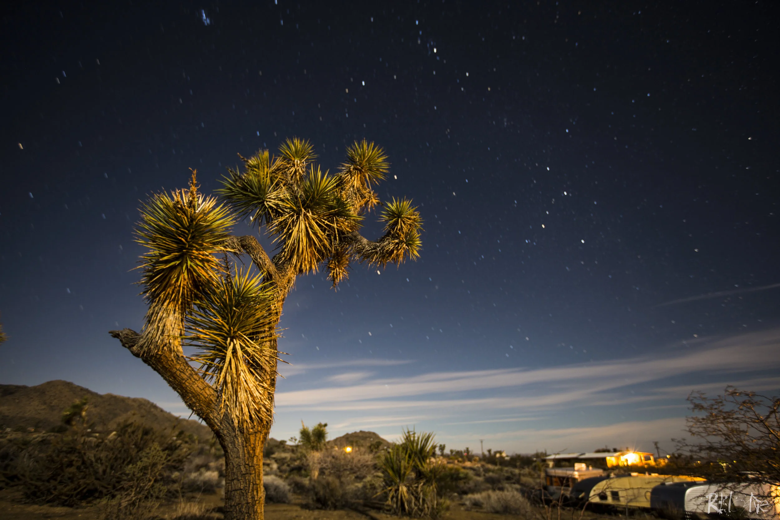 JoshuaTreeJPEG-23.jpg