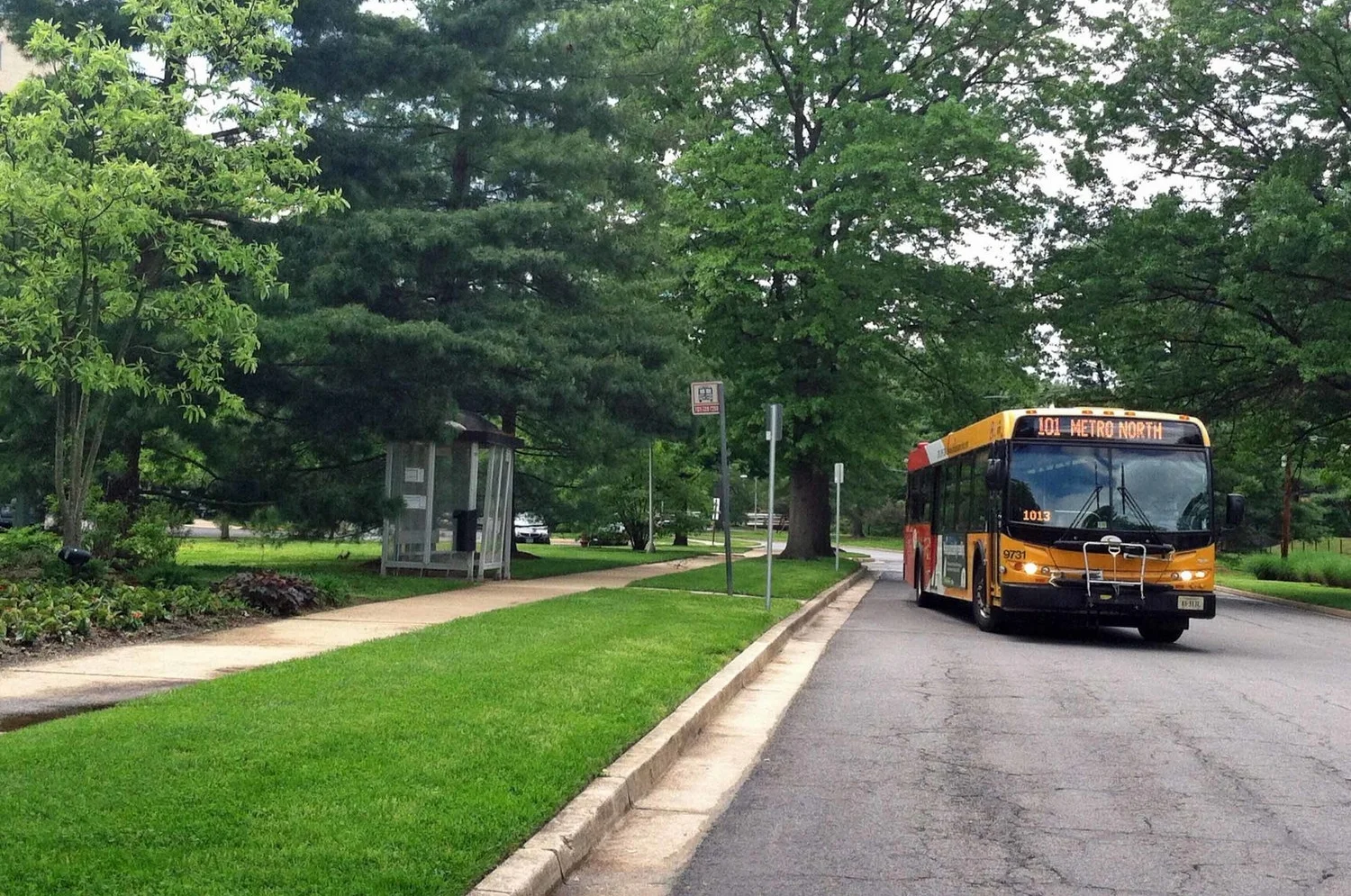 101 bus